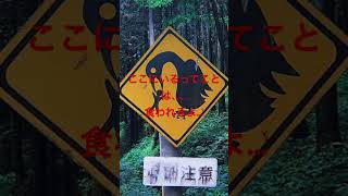 変な標識危険な標識怖い道路標識 [upl. by Michiko]