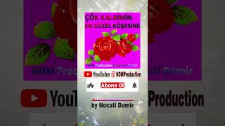 Çök Kalbimin En Güzel Köşesine  NDM Production newrelease outnow [upl. by Yesiad412]