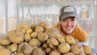 How I Store 200 lbs of Potatoes WITHOUT a Root Cellar [upl. by Aniluj893]