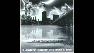 Shapeshifter  A Jazzstep Injection Into Drum amp Bass Triiiple  Elements Of Noize [upl. by Flight830]