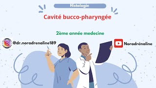 histologie de la cavité buccopharyngée2ème med  شرح بالدارجة و الرسم [upl. by Araem]