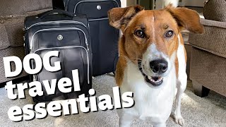 DOG TRAVEL ESSENTIALS  5 Must Have Items When Traveling with A Dog [upl. by Rudich]