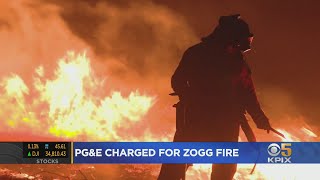 PGampE Charged With Manslaughter For Sparking Fatal Zogg Fire Last Year [upl. by Ahaelam]