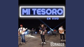 Mi Tesoro En Vivo [upl. by Ellednek]