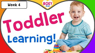 Educational Videos for Toddlers  2 year old 3 year old 4 year old Learning Videos with Boey Bear [upl. by Mehalek338]