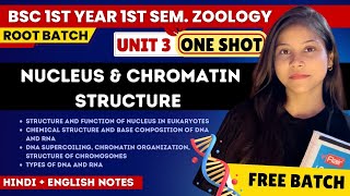 BSc 1st semester Zoology Unit 3 ONE SHOT 🔥💯 NUCLEUS amp CHROMATIN STRUCTURE by sciencewaali [upl. by Notyrb691]