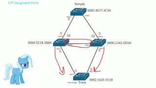 STP Designated ports [upl. by Tressia]