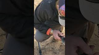 Lost gold at Detector Fest 2024 metaldetecting goldproblems [upl. by Alegnave827]