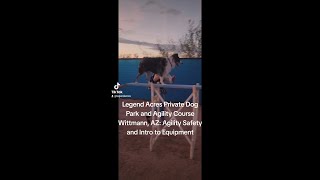 Agility Training Safety First with Our Intro Course Legend Acres [upl. by Pelage467]