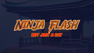 Ninja Flash Superhero Cat [upl. by Aztilem271]