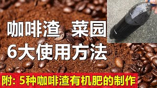 咖啡渣对种菜的6大应用 注意事项 5种咖啡渣有机肥的制作 How to use coffee grounds properly in the gardenfertilizers [upl. by Reklaw]