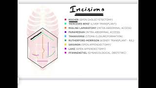 SKIN INCISIONS FOR ABDOMINAL SURGERIES [upl. by Sel]