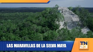 Las maravillas de la selva Maya [upl. by Annaer14]