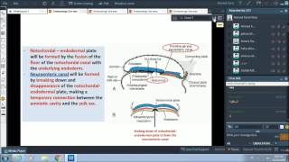 3rd wk of pregnancy  formation of notochord [upl. by Atiuqiram104]