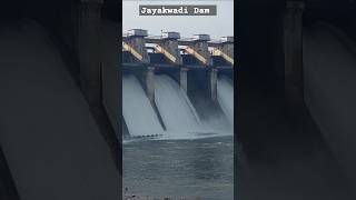 Jayakwadi Dam Current Water Level Today 2024 [upl. by Tnahsin]