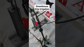 Using a simple inexpensive drip irrigation controller connected to our nutrient mixing tank [upl. by Hartzell]