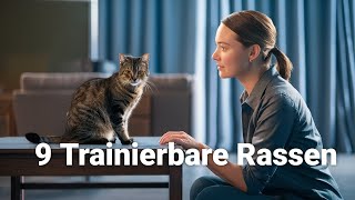 9 erstaunliche Katzenrassen die du trainieren kannst katze schlauekatze [upl. by Vida]