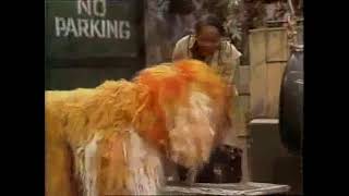 Classic Sesame Street Action Shots with Barkley  OPEN 1980 [upl. by Shirl]