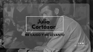 Me caigo y me levanto Cortázar narrado por el autor  Celare Poesia cortazar celarepoesia [upl. by Elleinet]