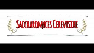 American vs Australian Accent How to Pronounce SACCHAROMYCES CEREVISIAE [upl. by Oz]