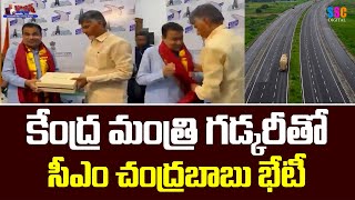 కేంద్రమంత్రి గడ్కరీతో సీఎం చంద్రబాబు భేటీ  CM Chandrababu Meets Central Minister Nitin Gadkari SSC [upl. by Nayarb]