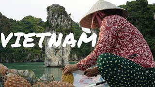 Halong Bucht bis Mekong Delta  Backpacking in Vietnam HD Doku [upl. by Livy109]