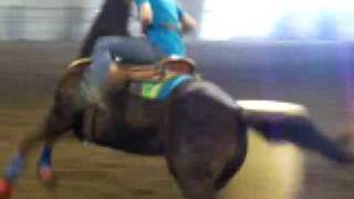 BARREL RACING SADDLEBRED [upl. by Adnam]