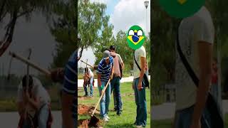 La Guacamaya Azul está de vuelta en su habitat [upl. by Hamfurd179]