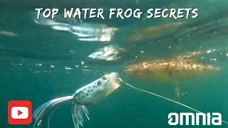 Top water Frog Bass Fishing How to catch more fish in HOT weather [upl. by Dyoll]