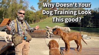 Why Doesnt Your Dog Training Look As Good As Social Media Dog Training [upl. by Ecirehs]