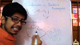 Transformation Vs Transfection [upl. by Kcirdahc5]