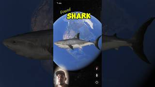 I found a strange Shark on Google Earth googleearth shortvideo shortsviral [upl. by Dorelle]