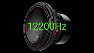 Tone frequency 12200Hz Test your hearing speakersheadphonessubwoofer [upl. by Sirromad]