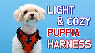 PUPPIA US Harness Introduction  F Style [upl. by Aicylla]