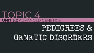 AP Biology Pedigrees and Genetic Disorders [upl. by Anilesor]