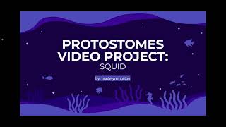 Protostomes video project [upl. by Elnar]