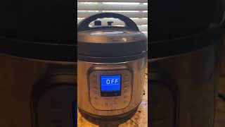 Instant Pot Duo 7in1 Pressure Cooker Review [upl. by Madian]