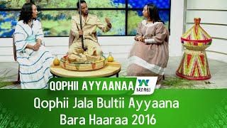 Qophii Jala Bultii Ayyaana Bara Haaraa 2016 [upl. by Aramit]