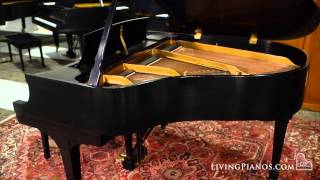 Steinway Baby Grand Piano for Sale – Steinway Model S – Classic Baby Grands [upl. by Alphonso]