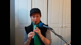 Whiskey in the Jar  tin whistle [upl. by Rosabel972]