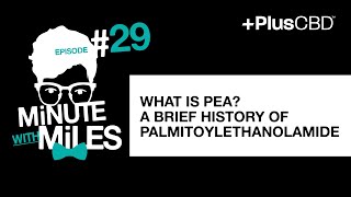 What is PEA A Brief History of Palmitoylethanolamide [upl. by Maltzman461]