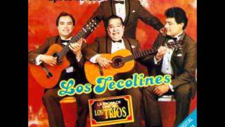 TRIUNFAMOS LOS TECOLINES [upl. by Aramal]