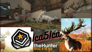 theHunter  Call of the Wild Te Awaroa National Park Red Deer [upl. by Klimesh387]