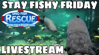 Stay Fishy Friday livestream 1120624 [upl. by Onitnatsnoc116]