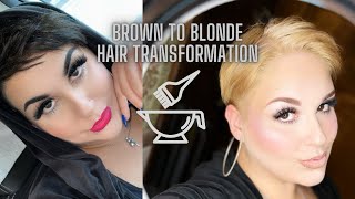 BROWN TO BLONDE HAIR TRANSFORMATION [upl. by Eile]