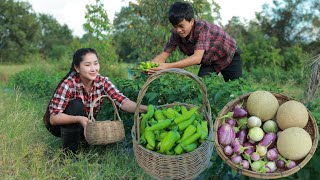 Chili pepper pick and cook steam Collect vegetable around home and eat  Cooking with Sros [upl. by Carilyn560]