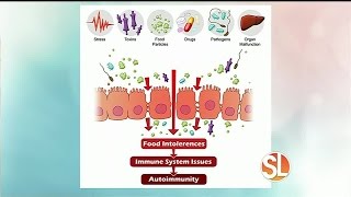 Dr Peter Kan on number one cause of low thyroid and 3 common triggers [upl. by Zhang107]