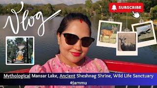 🐍Mythological Mansar Lake 🕉 Ancient Sheshnag Temple 🧾 Wild Life Sanctuary Zoo Memorable Family Trip [upl. by Selmore459]