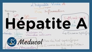 Hépatite A symptômes sérologie de lhépatite A vaccin et traitement [upl. by Nuahsel]