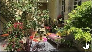 Créez votre mini jardin méditerranéen au jardin ou sur la terrasse Truffaut [upl. by Jenei]